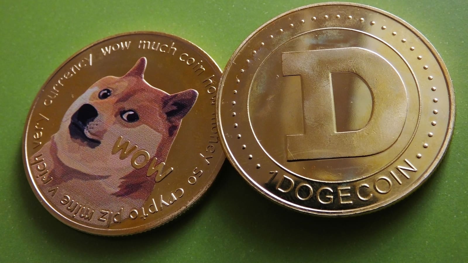 rise new crypto coins
