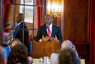tony elumelu