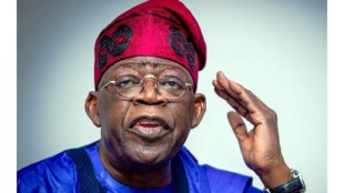 tinubu niger