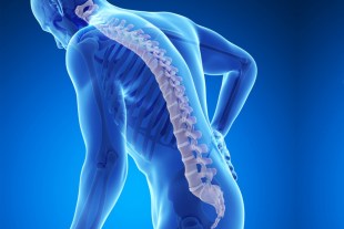 bone health