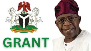 How to Secure a Business Grant in Nigeria 