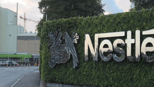 Nestlé Nigeria Opens Applications for 2025 Community Scholarship Program