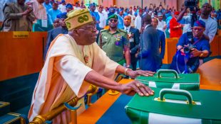 What Are the 5 Key Sectors in Nigeria's 2025 Budget?