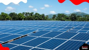 Nigeria Surpasses Egypt to Become Africa’s Second-Largest Solar Panel Importer