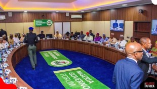5 Ways the NGF’s Investopedia Could Boost Nigeria’s Economy