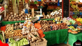 Top 5 African Countries With the Worst Food Insecurity in 2025