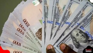 Naira to dollar