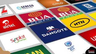 5 Companies Paying the Highest Dividends in Nigeria