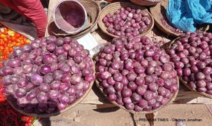 Nigeria Produces 2.1million Tonnes of Onions Yearly - Marketers