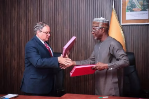 Niger enters $1.9bn refinery deal with unproven Canadian group