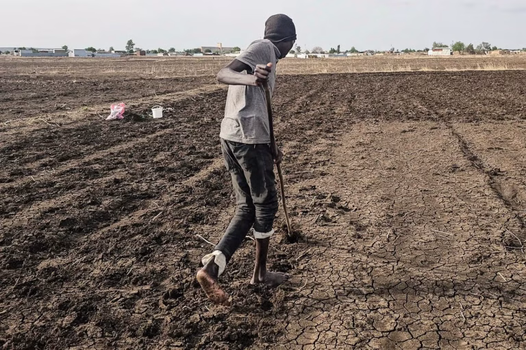 El Niño Climate Disruptions Forecast to Cost African Economies $20 Billion