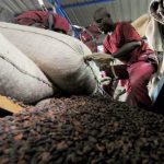 Ghana’s Cocoa Price Hike Strains Côte d’Ivoire Pact